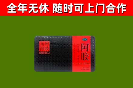 文县区烟酒回收阿胶.jpg