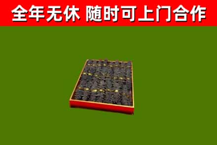 文县区烟酒回收海参.jpg